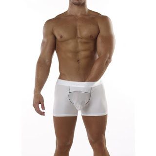 http://www.intymen.com/underwear/boxer-briefs/intymen-screen-pouch-boxer-white