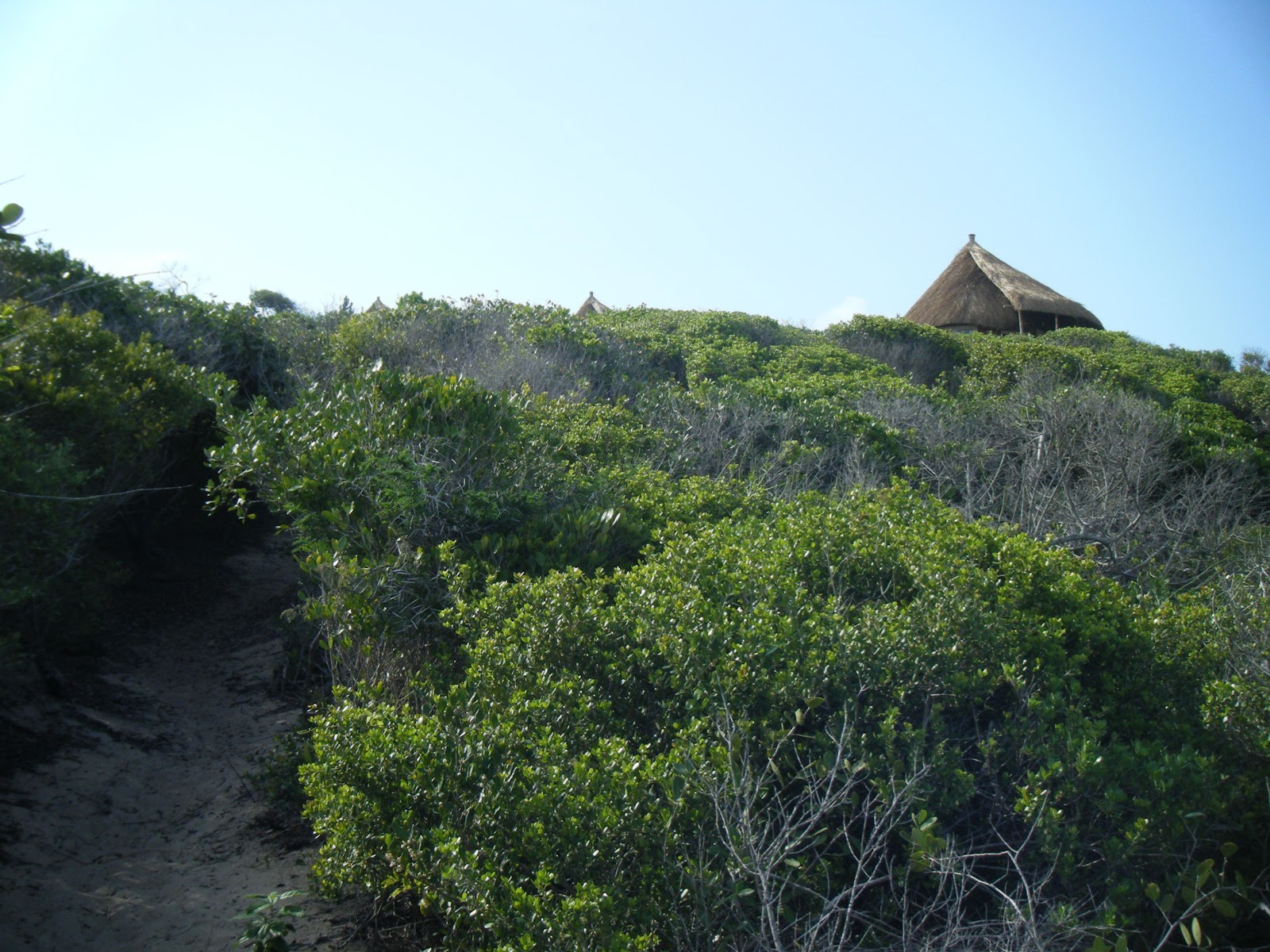 Arquitectura A MEDIDA: Viviendas en la PLAYA