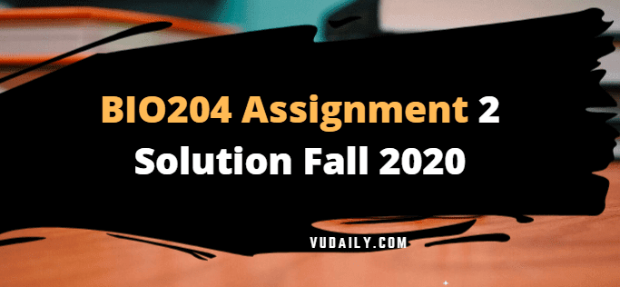 BIO204 Assignment No 2 Solution Fall 2020