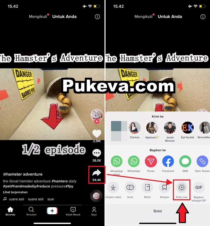 Cara Mendownload Tiktok Tanpa Watermark Tanpa Aplikasi, Langsung Download! YouTube