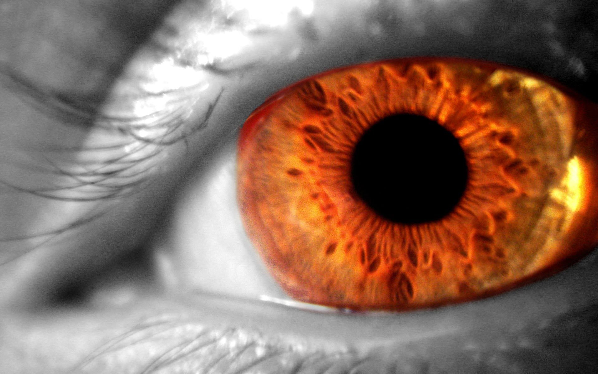 Глаз звуки. Оранжевые глаза. Ярко оранжевые глаза. Желто оранжевые глаза.