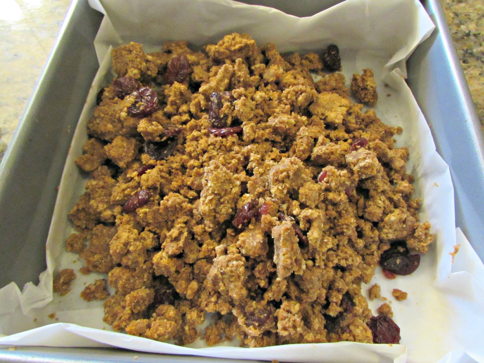 Chicago Jogger Oat Bran & Cherry Snack Bars