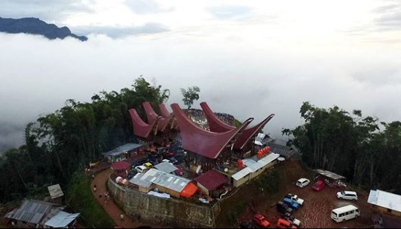 Pesona Lolai Toraja Lengkap Harga Tiket Dan Penginapan Wisata Oky