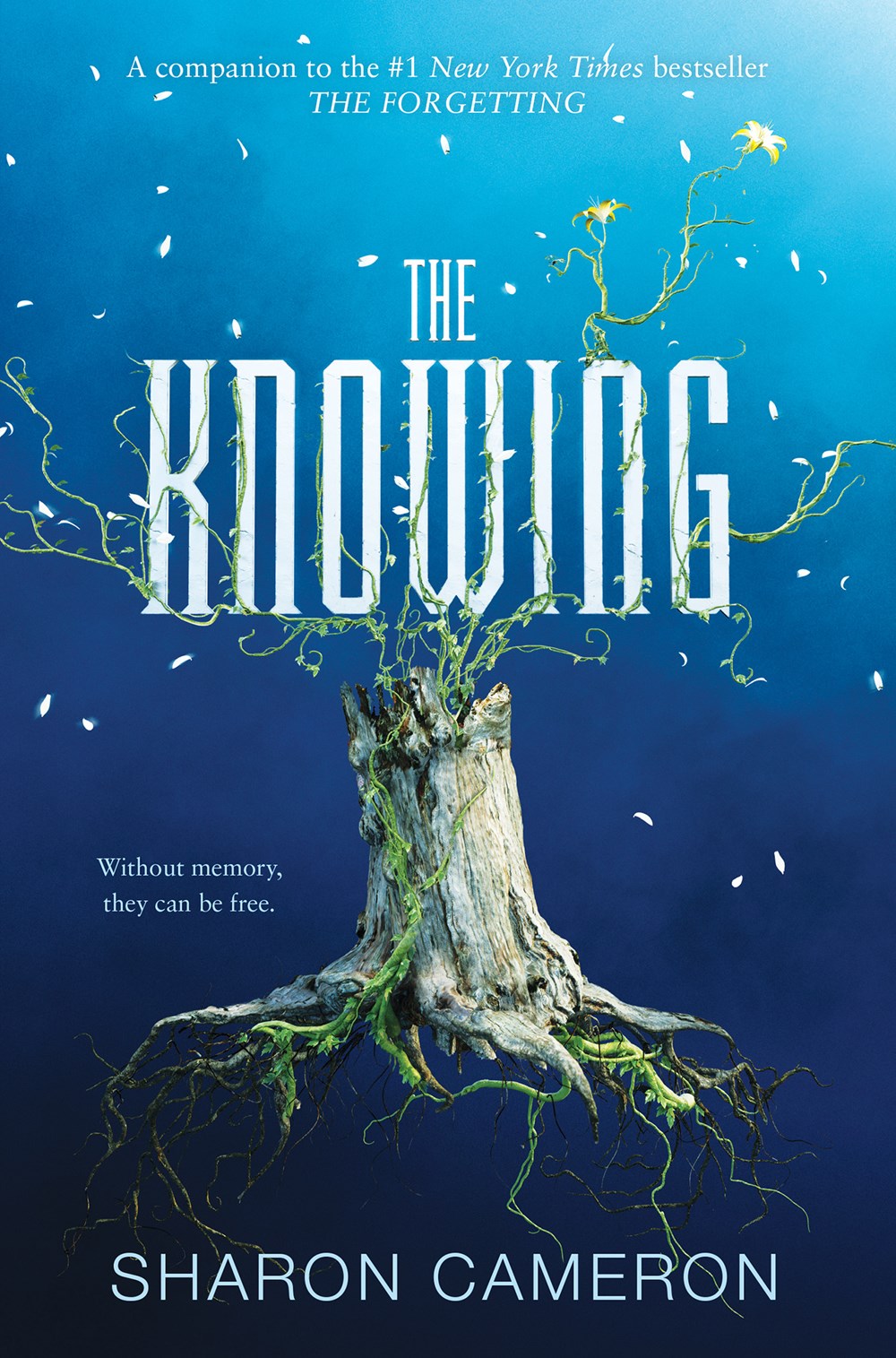 Gizmo S Reviews Monday Review The Knowing By Sharon Cameron Yalit Syfy