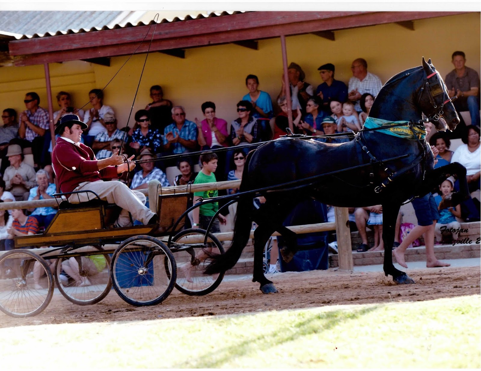 SA VLAAMPERD LUTZVILLE 2013