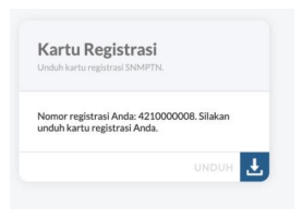 halaman cetak kartu registrasi pada pendaftaran SNMPTN halaman cetak kartu registrasi pada pendaftaran SNMPTN