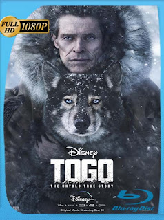 Togo (2019) HD [1080p] Latino [GoogleDrive] SXGO
