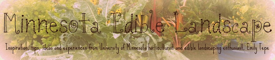 Edible Landscaping at the University of Minnesota