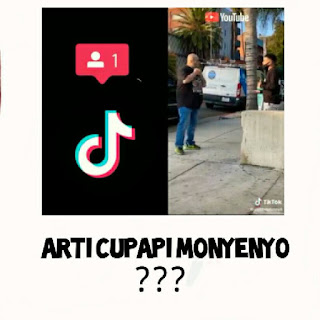 Arti Chupapi Moneno TikTok Arti Cupapi Monyenyo TikTok