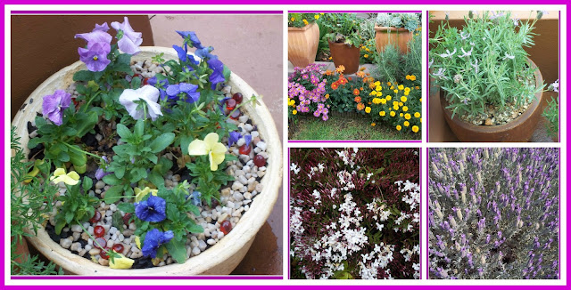 Flower Collage Flower Collage