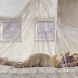 Andrew Wyeth: el pintor y su secreto