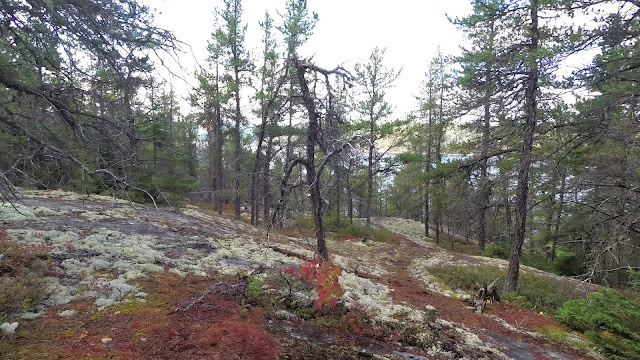 Vue à partir du Sentier du Fjord