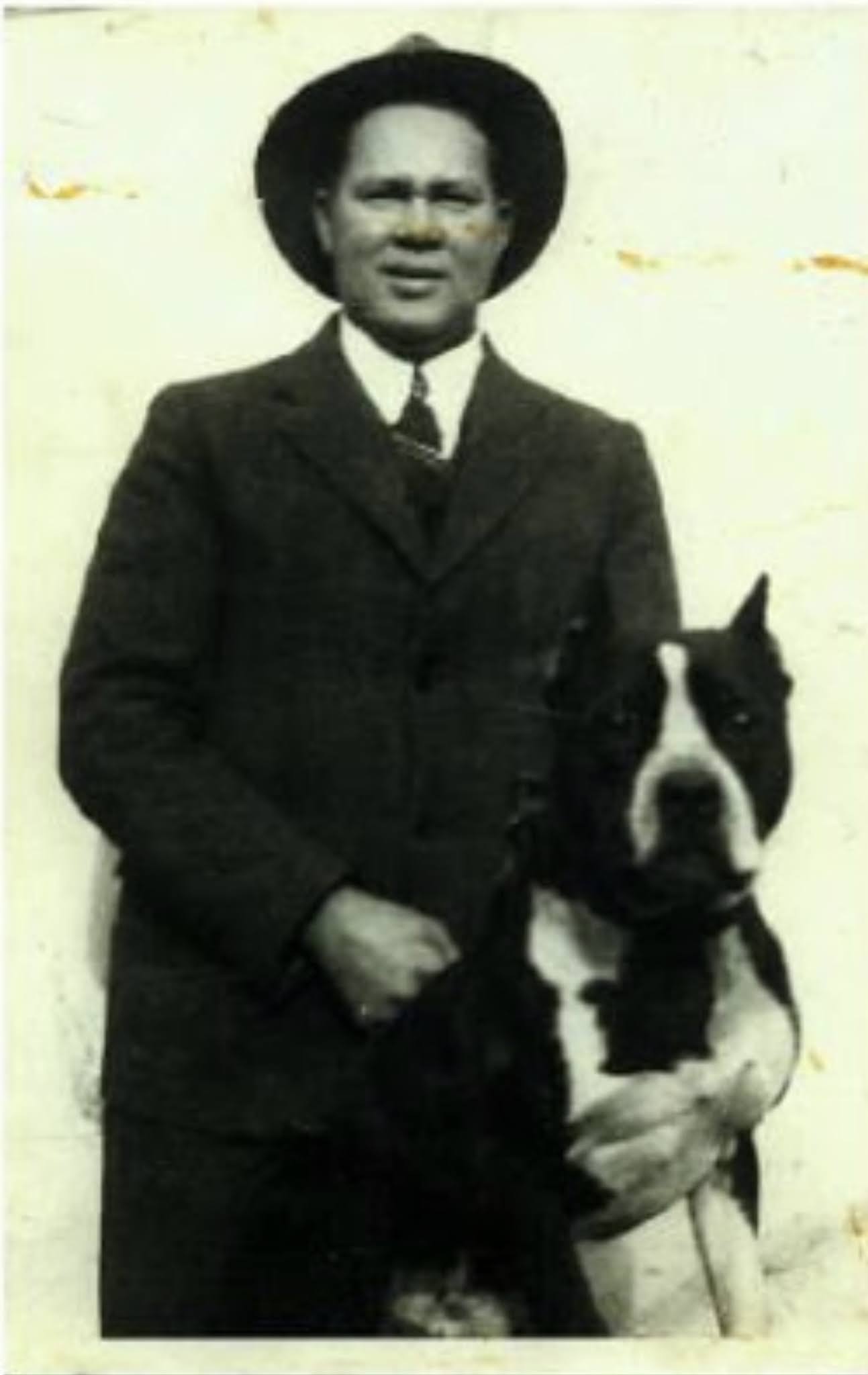 Chó PITBULL THUẦN CHỦNG Cajun Rules Luật thi đấu Dog Fighting