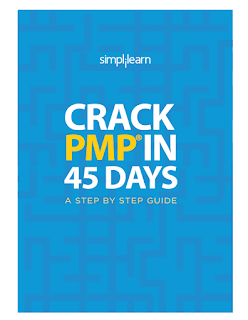 Crack PMP in 45 Days - A Step by Step Guide