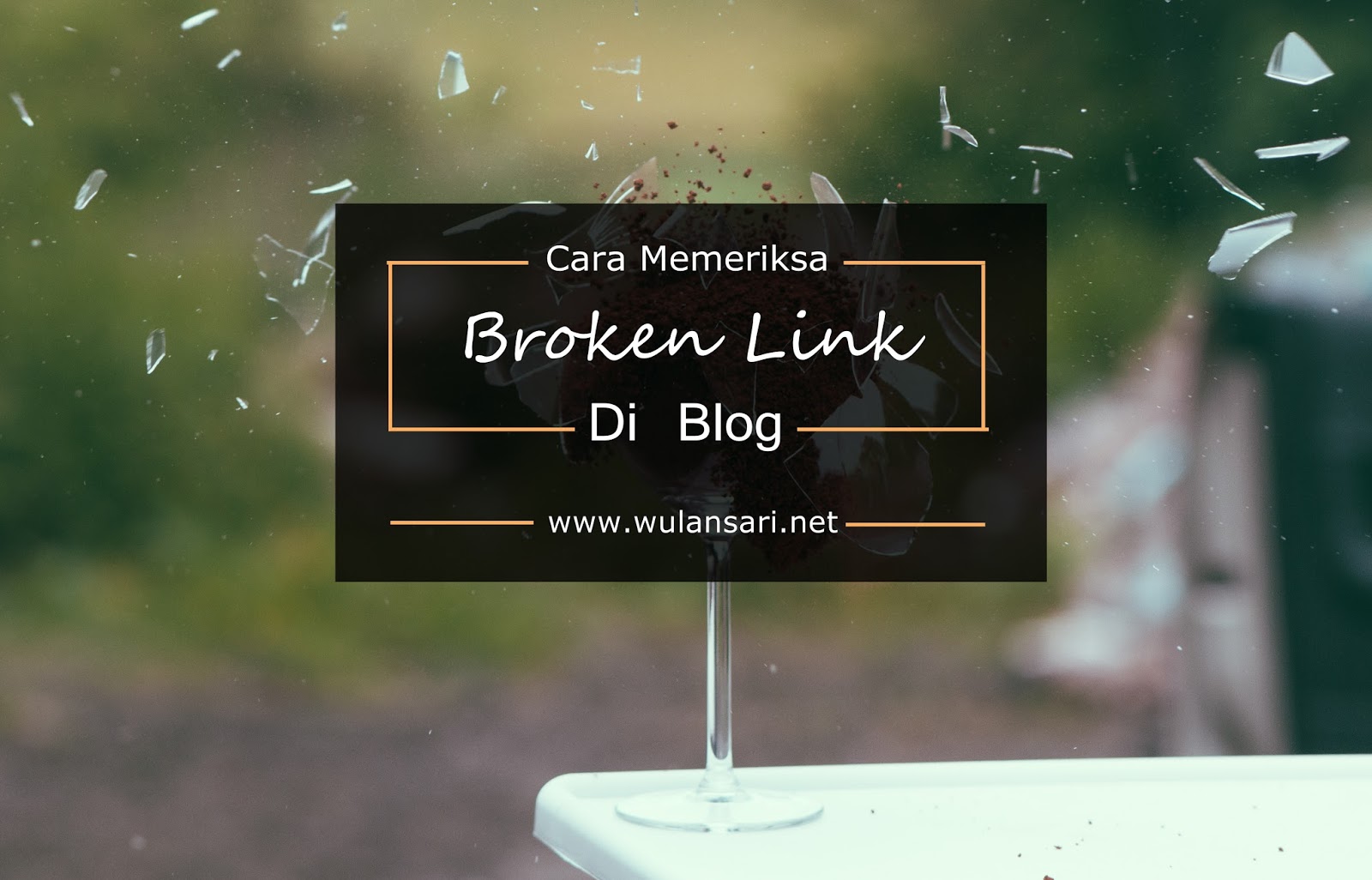 Cara Memeriksa Broken Link di Blog Dengan Mudah