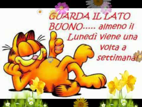 Che La Vita Continua: Buon Lunedì divertenti