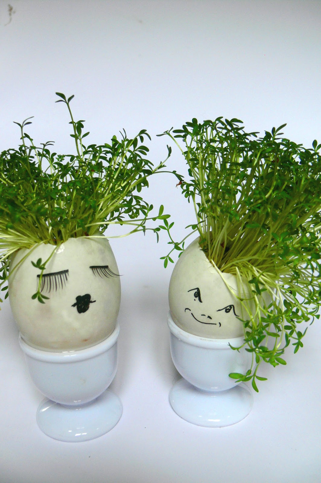 Beauty, Life and Babies: Get Cracking With Crafty Easter Egg Cress-Heads