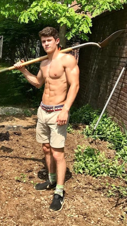 cute-young-shirtless-hard-worker-neighbor-abs