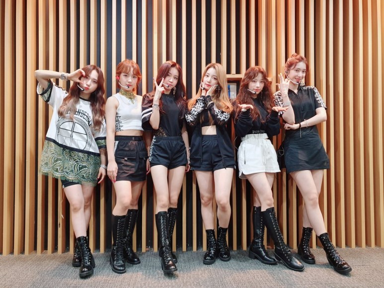 내새끼한테 쏟아붙는 악플들 위트있게 처리하는 팬들 | 인스티즈