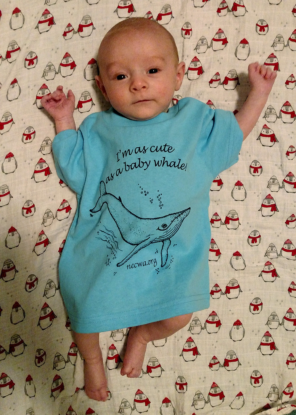 New NECWA Toddler Shirt - As Cute as a Baby Whale