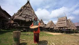 TAMPE RUMA SANI #tamperumasani #dompu #NTB