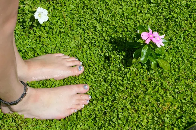 Girls' Feet in the grass