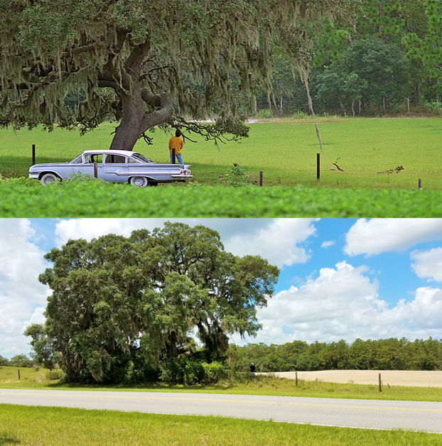 Then & Now Movie Locations Jeepers Creepers