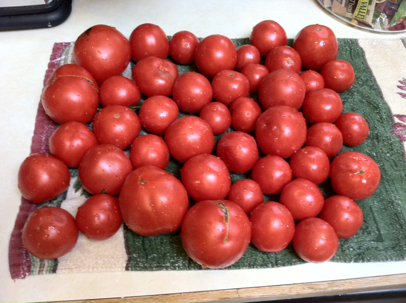a wee Meenit 'like' fresh tomatoes all year long