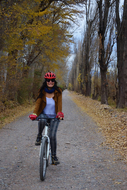 Vinícolas de Maipú em Mendoza: Tour de Bike mulher andando de bicicleta em meio a uma paisagem de outono
