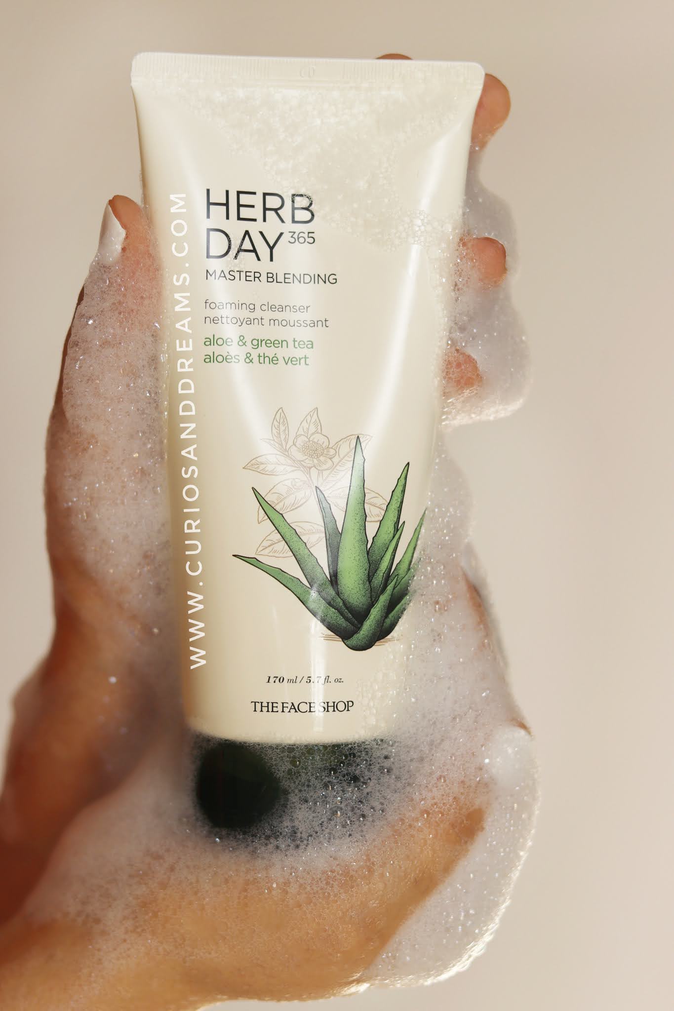 The Face Shop Herb Day Foaming Cleanser Aloe & Green Tea Curios and
