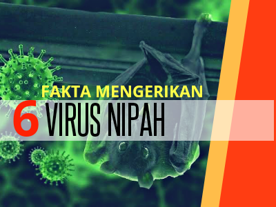 6 Fakta Virus Nipah