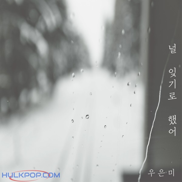 Woo Eun Mi – 널 잊기로 했어 – Single