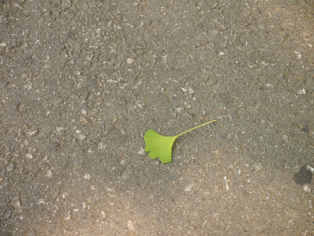 2015,summer 於是我就在韓國了 Day5