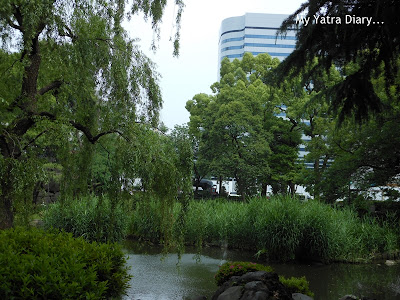 Serene lake and trees at Hibiya Garden - Tokyo, Japan