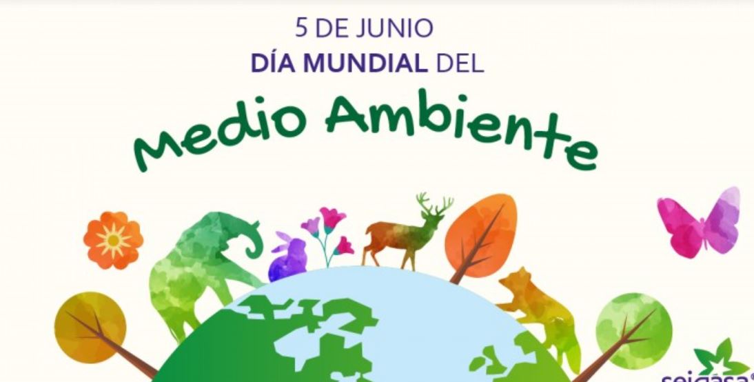 Biblioteca 13 de 1 "Merceditas": Día mundial del Medio Ambiente