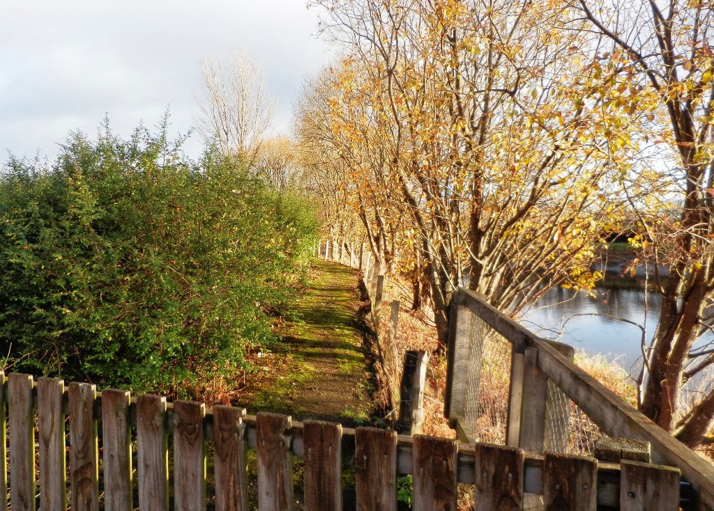 My Daily Walk Riverside Stirling and Bandeath to Fallin