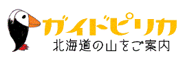 ガイドピリカ