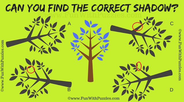 Tricky Visual Puzzle: Choose the Correct Shadow - Answer