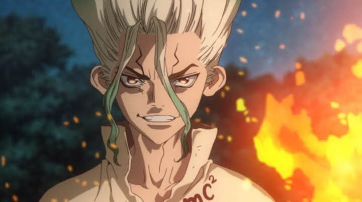 Dr. Stone