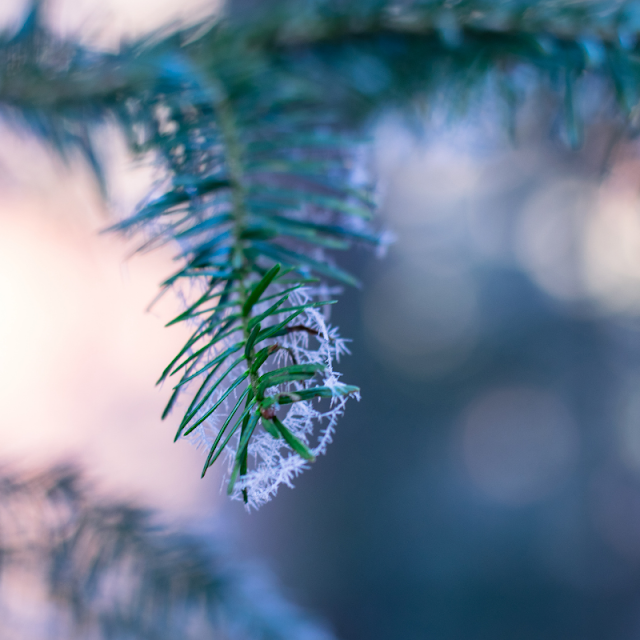 fun-things-to-do-in-delaware-county-this-weekend-for-families-and-kids