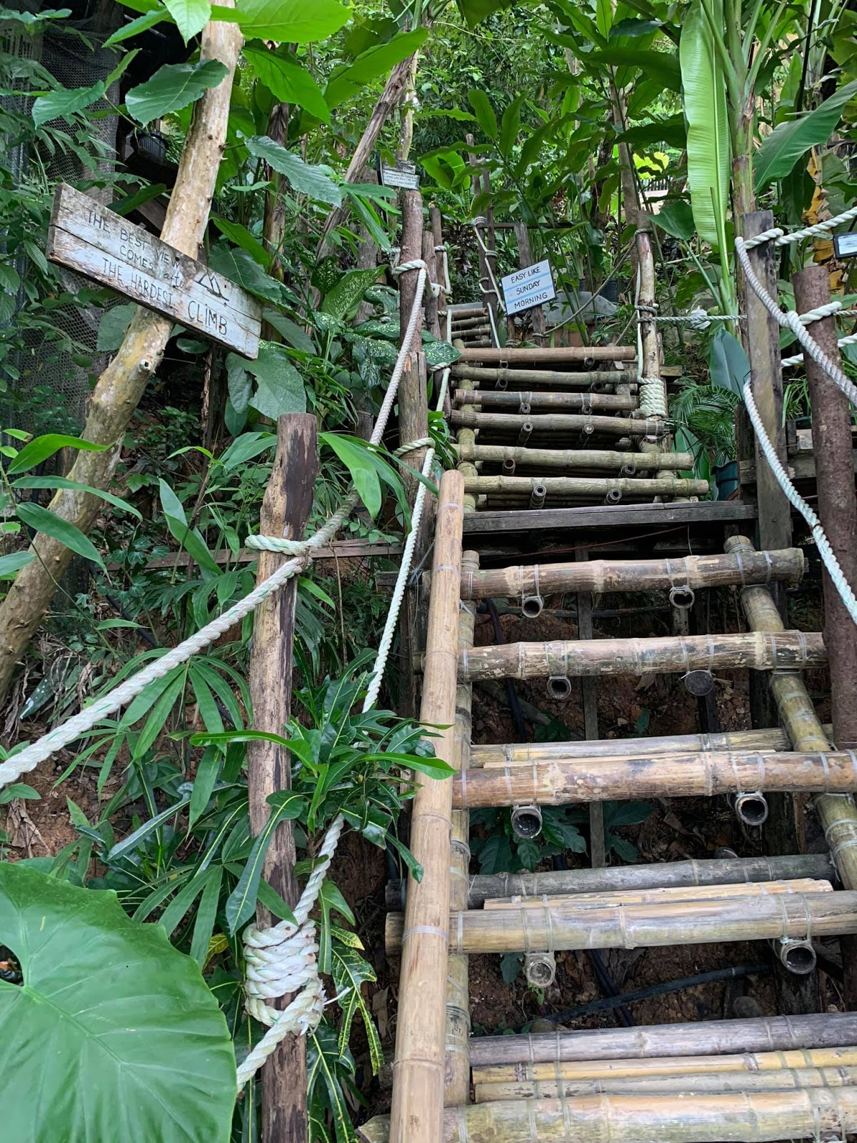Yoga Retreat in El Nido with Dina Ghandour