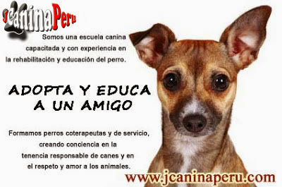 ESCUELA CANINA