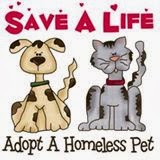 Support Animal Rescue and Adoption