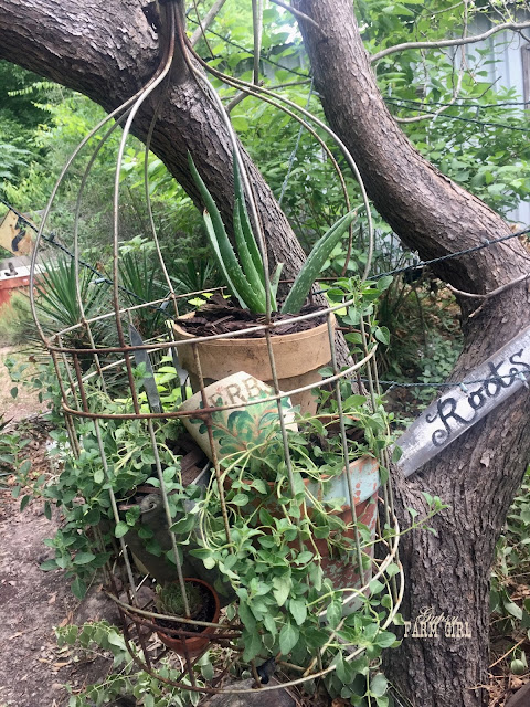 herb gardening