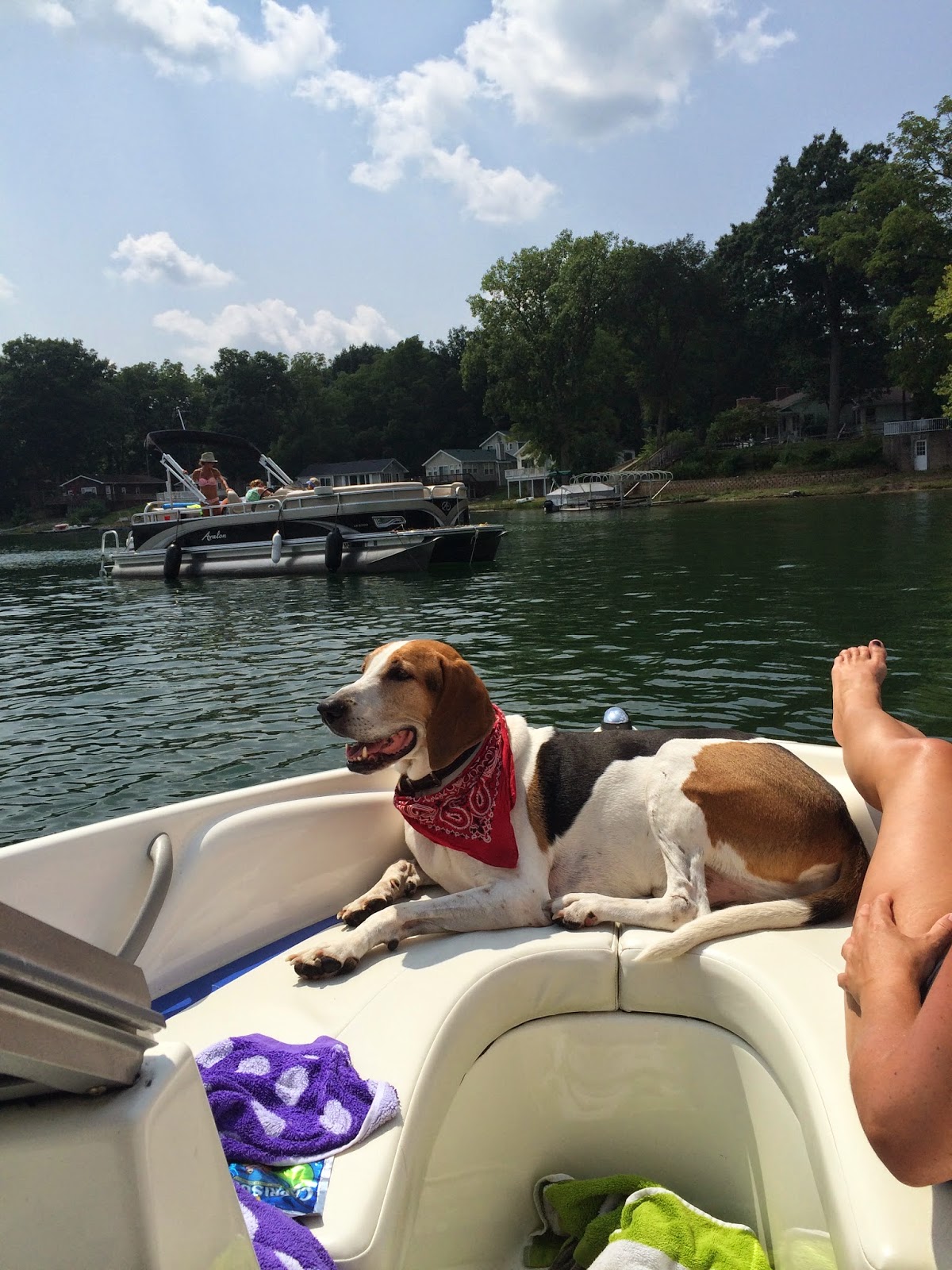 Lake House on Big Twin Lake (Dowagiac, MI)
