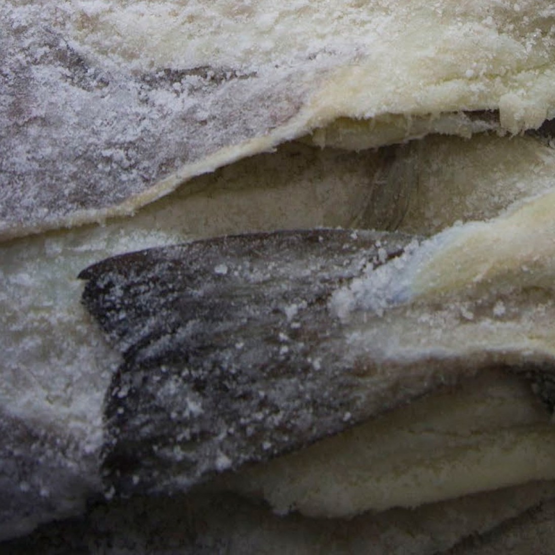 The Véhicule Press Blog An Introduction to Salt Cod