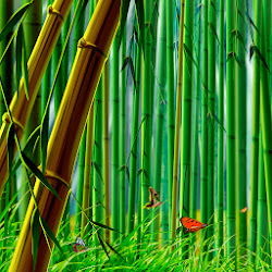bamboo forest desktop 3d wallpapers animated resolution wallpapersafari looking tablet iphone wallpape natural