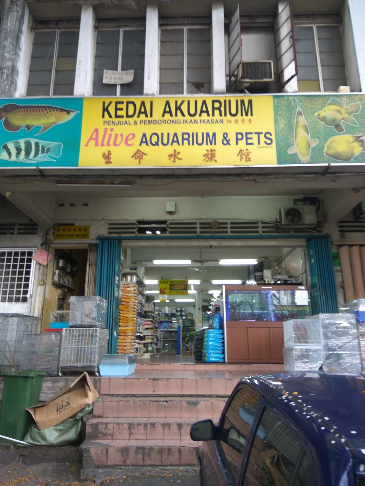 Kedai ikan near me