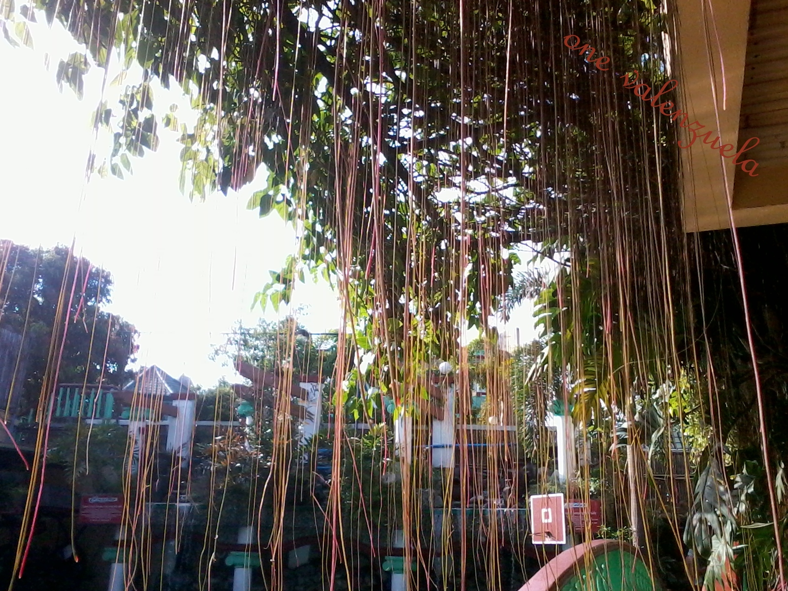 One Valenzuela: Cariño Resort at Punturin, Valenzuela City: A Great ...