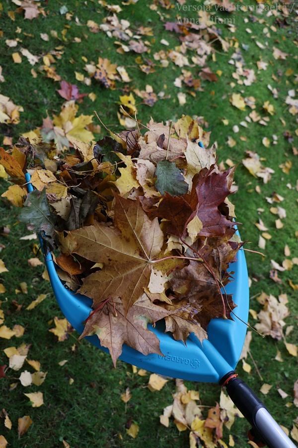 Gardena Lehtienkerääjä